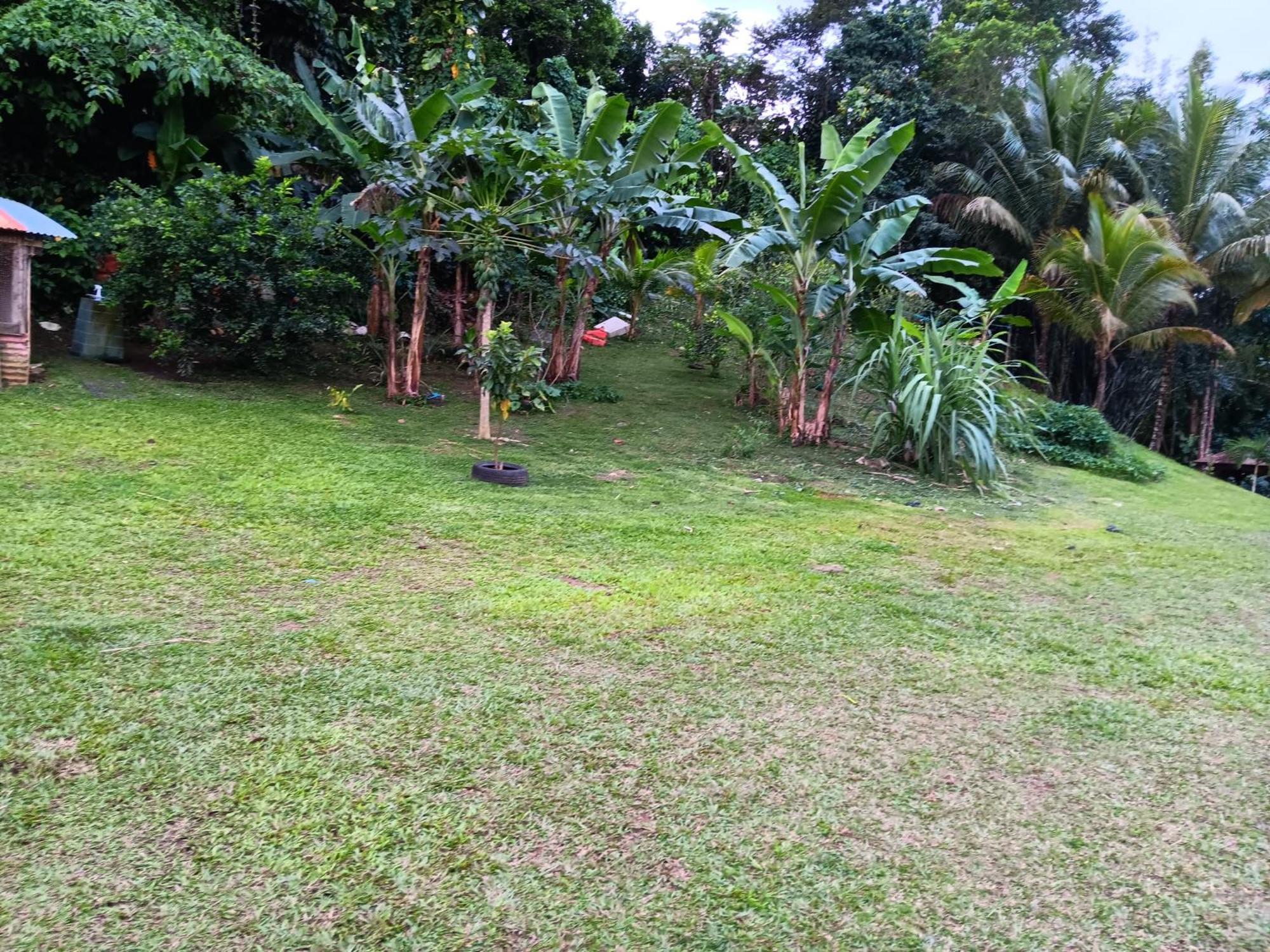 Villa Beauci-Turlet Goyave Luaran gambar